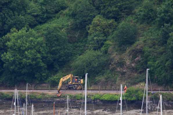 04 June 2020 - 11-18-24 
Clearing the river embankment - from the railway line. Grass cutting the tank engine way.
---------------------------
Dartmouth Steam Railway maintenance